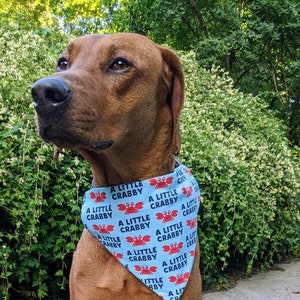 A little crabby dog bandana, summer dog bandana, crab bandana for dogs, crab bandana for dogs, summer bandana, summer dog scarf