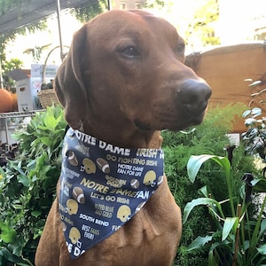 Notre dame dog apparel discount