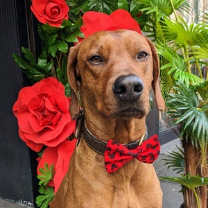 Disney Mickey and Minnie red and black dog bows, Mickey mouse bow ties for dogs, Minnie mouse dog sailor bows, dog fashion