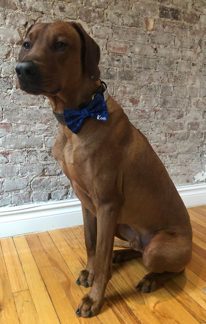 personalised dog bow tie