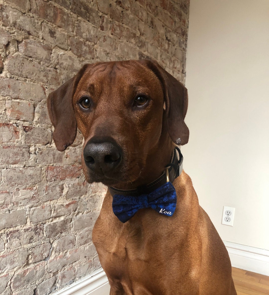 personalised dog bow tie