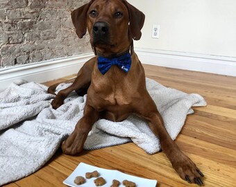 Dog treats: peanut butter, pumpkin, banana. All natural, human grade, healthy, no preservatives, grain-free, artisan dog buscuits - 2 oz