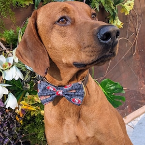 San Francisco 49ers dog bows, Niners dog, red and gold bow tie for dog, NFL bows for dogs, football dog fashion