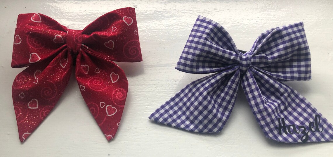 matching bow ties for dog and owner