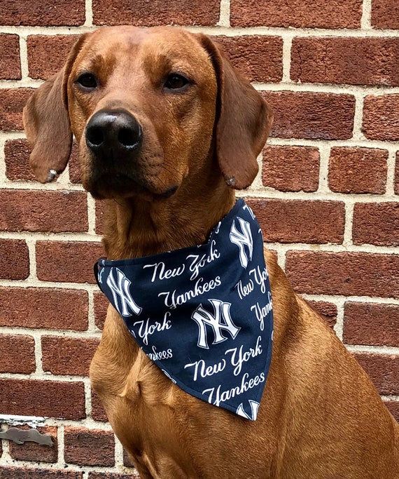 New York Yankees MLB Dog Collar