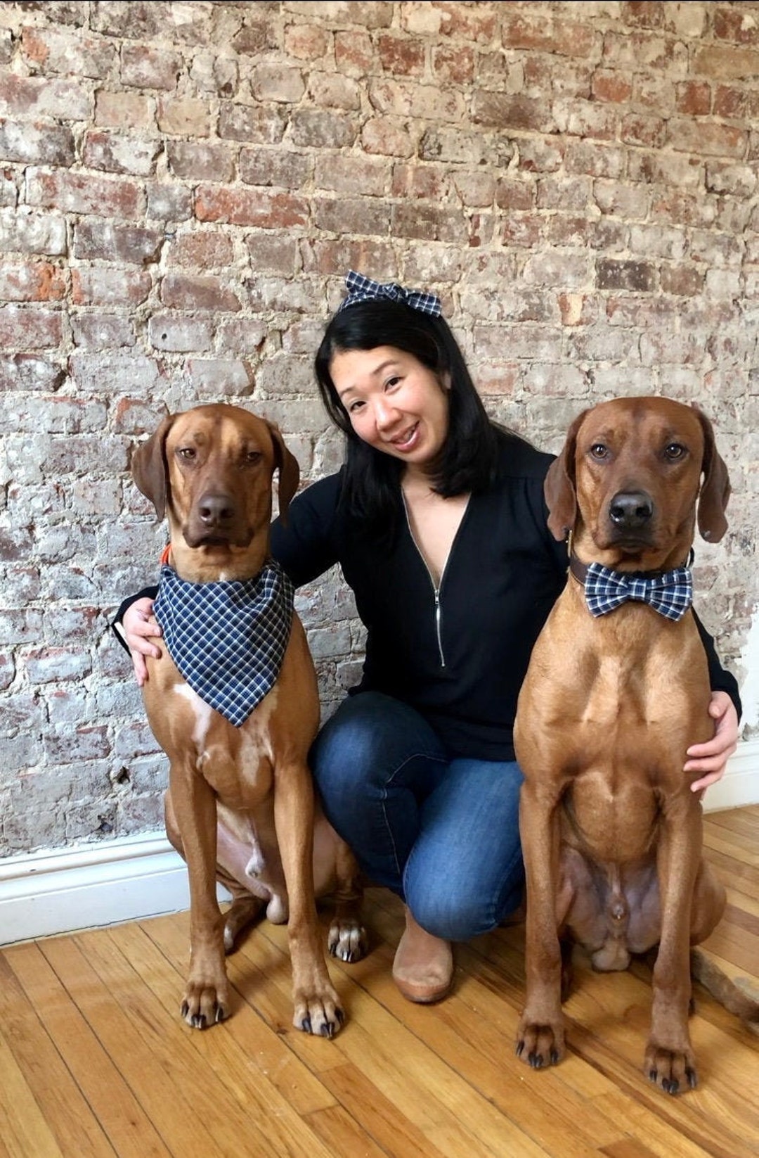 Family Matching Set, 34 Items, Matching Dog and Owner, Matching Dog