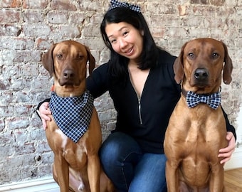 Family matching set, 3-4 items, matching dog and owner, matching dog bandana and headband, bandanas for dogs, dog bows, collar flowers