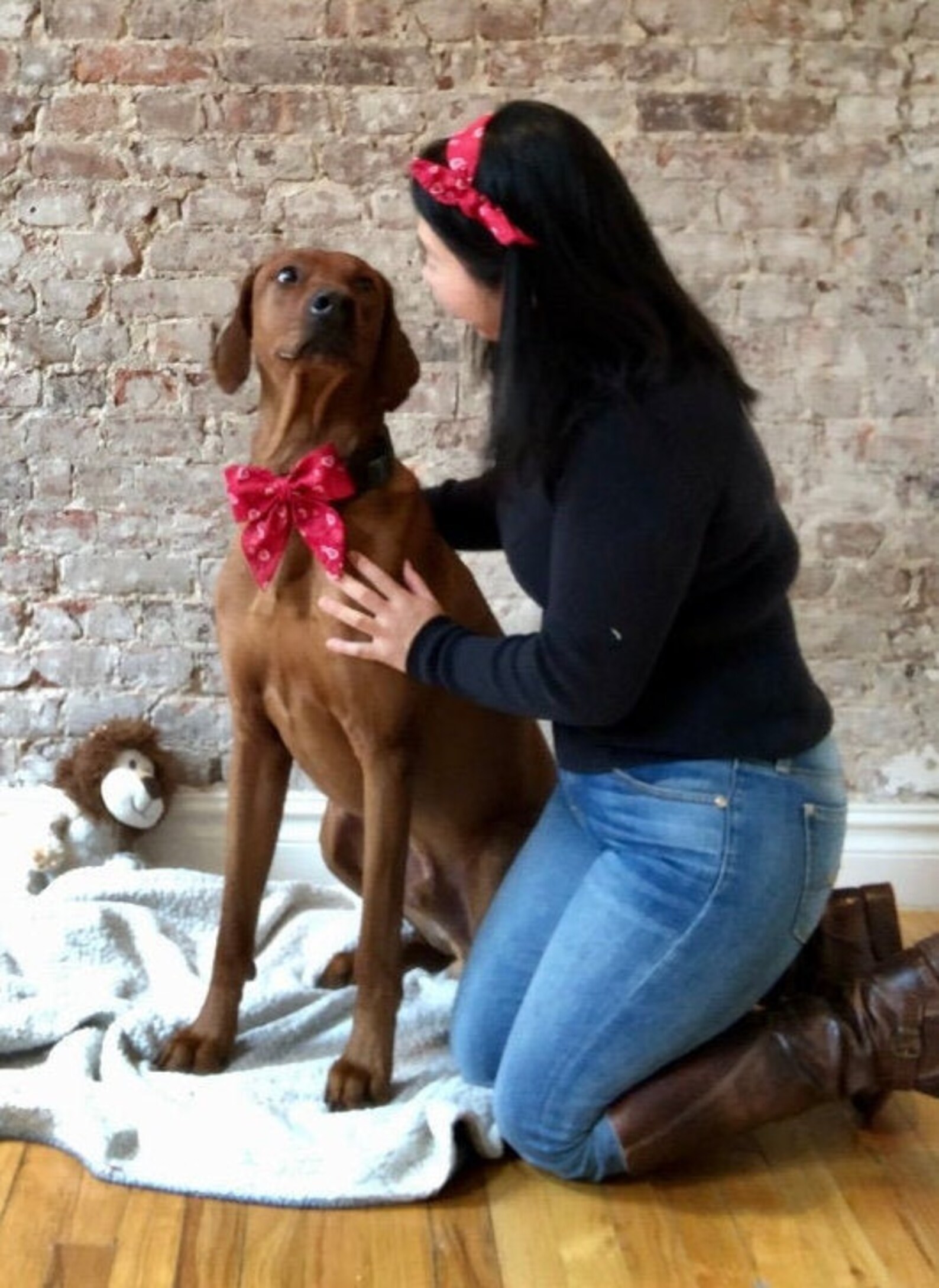 Matching Dog and Owner Matching Set Matching Dog Sailor Bow Etsy