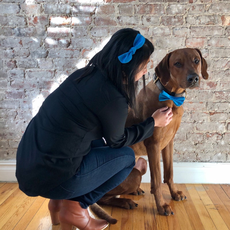 matching bow ties for dog and owner