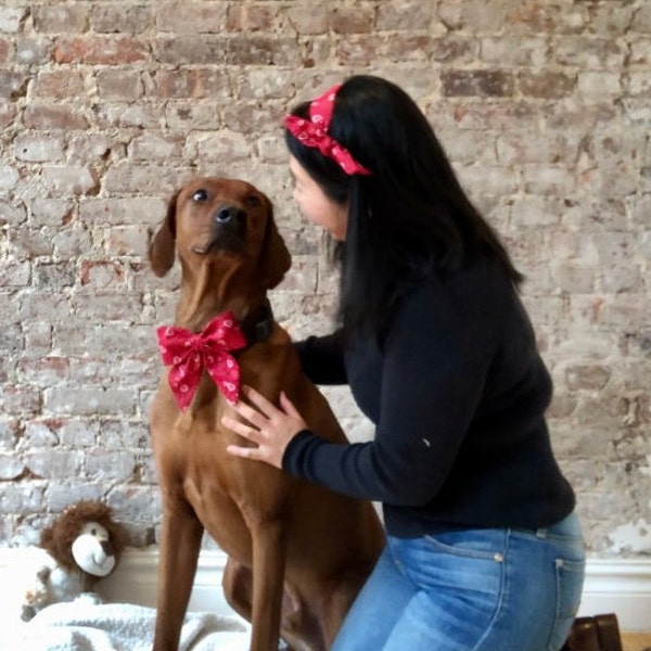 matching bow ties for dog and owner