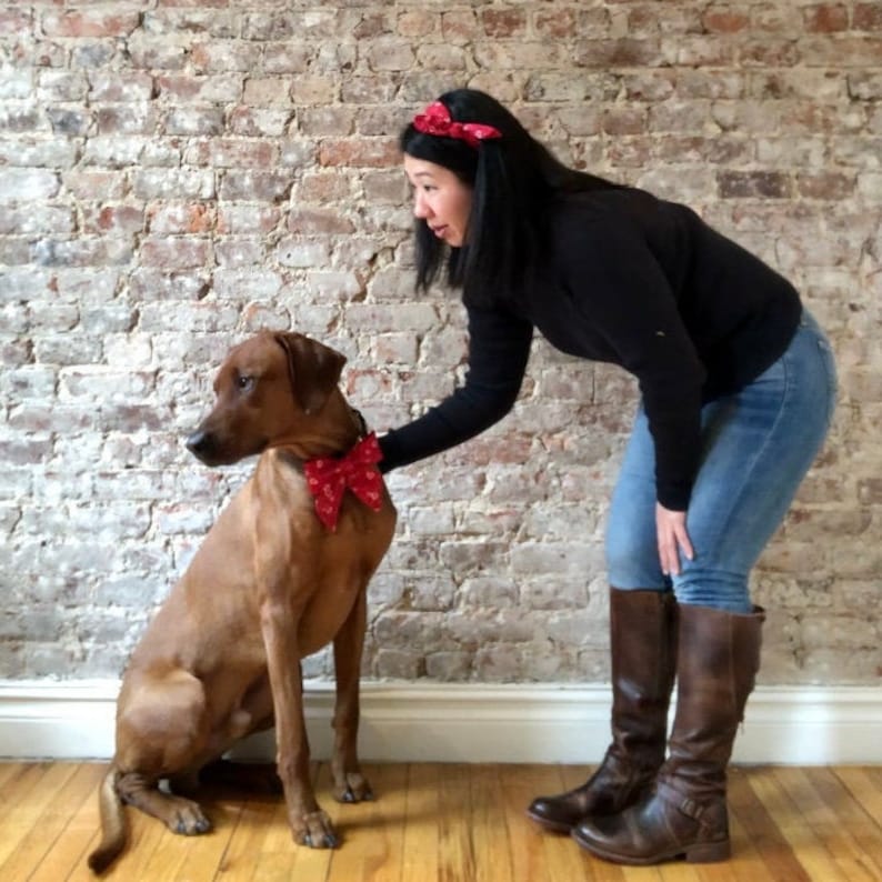 Matching Dog and Owner Matching Set Matching Dog Sailor Bow Etsy