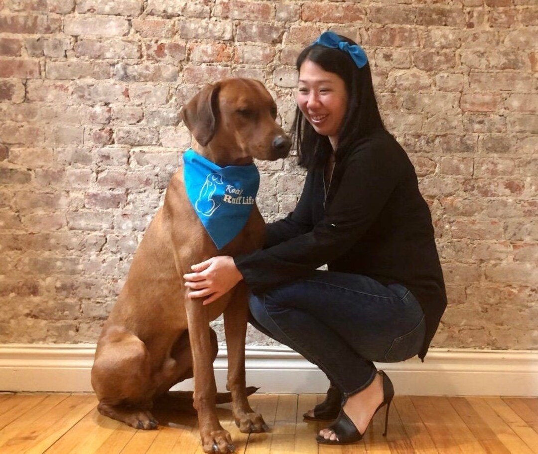 Matching Set, Personalized, Matching Dog and Owner, Matching Dog