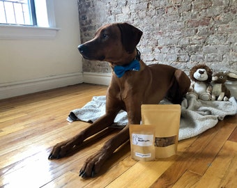 Gluten-free peanut butter dog treats, mini dog biscuits, homemade, human grade, healthy, all natural, no preservatives, small batch