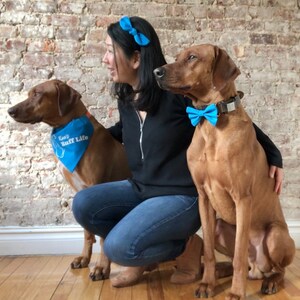 May include: A woman wearing a blue headband with a bow sits with two brown dogs. One dog is wearing a blue bandana with the text "Keep Ruff Life" and the other dog is wearing a blue bow tie.