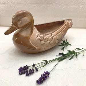 May include: A brown ceramic duck-shaped planter with a textured surface. The planter has a long, open trough for planting. Purple lavender sprigs are arranged near the planter, adding a touch of color and fragrance.