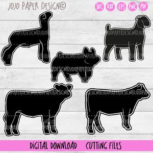 Mostrar animal SVG (var3.) Mostrar paquete de animales SVG, mostrar clipart de animales, pequeña licencia comercial incluida, mostrar gráfico de ganado, mostrar cerdo SVG