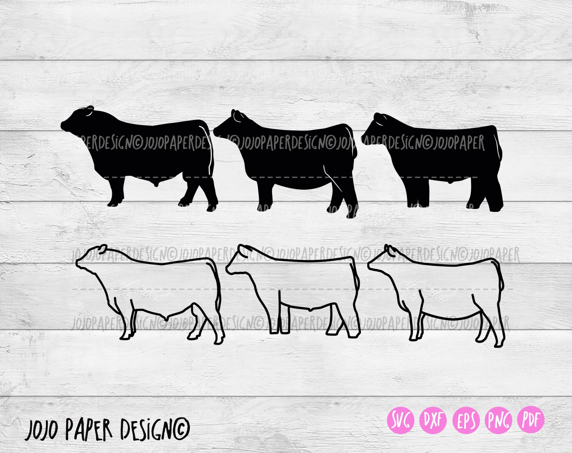 Show heifer SVG, Show Cattle SVG, Show steer svg png eps dxf pdf, black angus silhouette, Beef cattle svg, small commercial license included