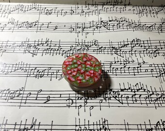 Strawberry Kiwi Resin Phone Grips