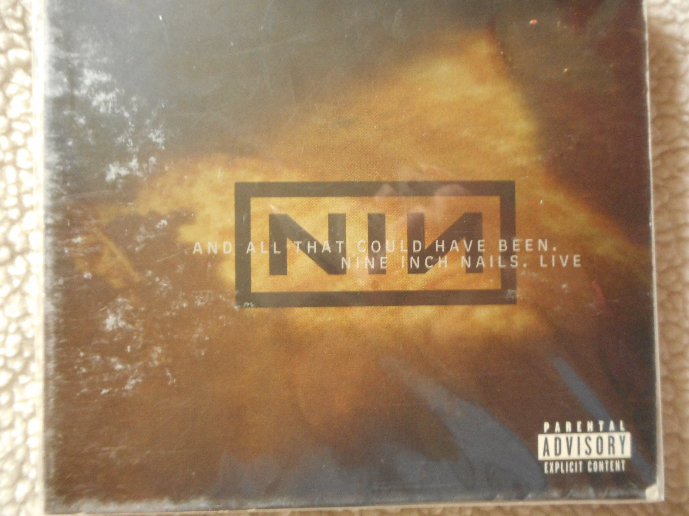 And All That Could Have Been Nine Inch Nails