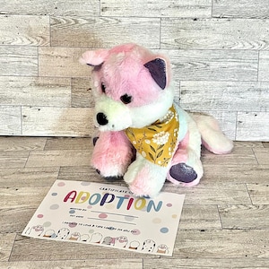Adopt a Stuffy, Adopt a Stuffed Animal, Mystery Gift, Adopt a Pet, Party Favors, Life&#39;s Canopy