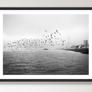 Brighton Murmuration Print, Black and White A3 Risograph - Starling Murmuration - Limited Edition Film Photography Print