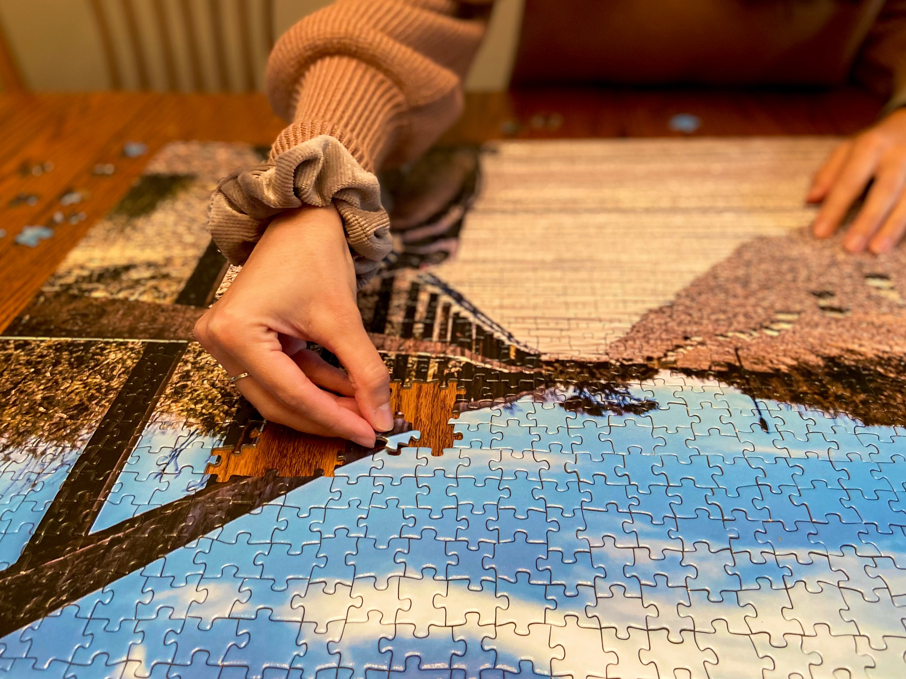 1000 Piece Jigsaw Puzzle for Adults. Unique Large Scenic Penguin Animal ...