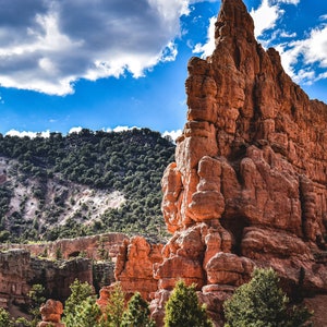 1000 piece nature jigsaw puzzle .National parks jigsaw puzzles. Dixie National Forest, Utah.  Rock Formations, Unique,/Free Shipping!!