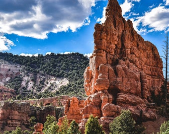 1000 piece jigsaw puzzles for adults. Unique large scenic rocky cropping in Dixie National Forest park, Utah, US./ Free Shipping!!