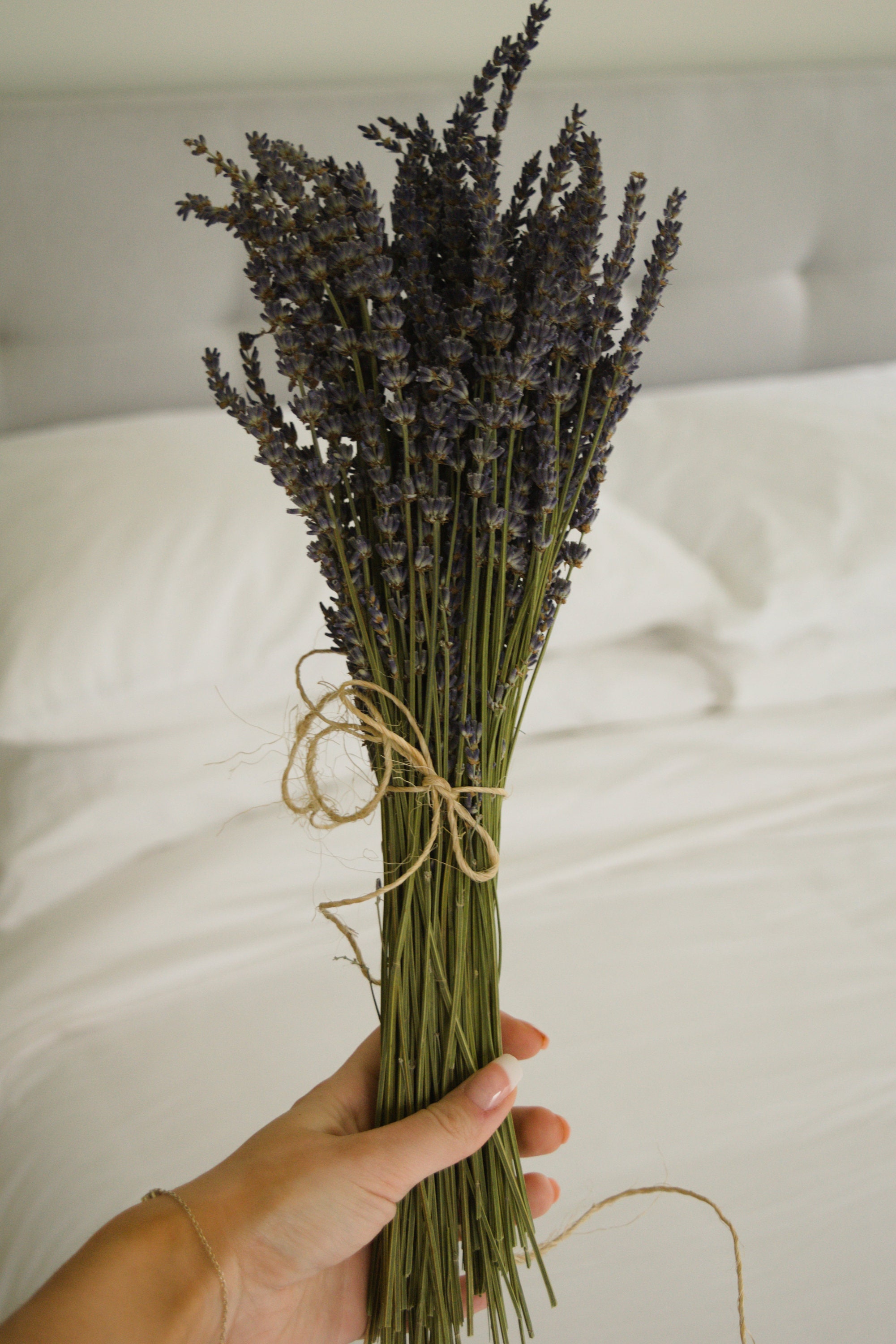 Dried Lavender Bouquet Etsy