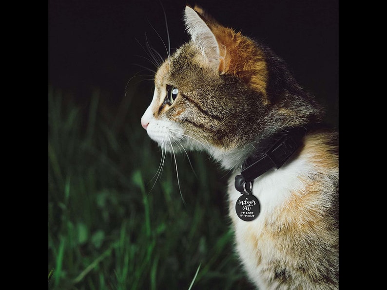 GoTags Indoor Only Cat Tag Personalized