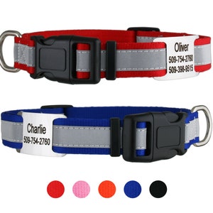 GoTags Reflective Dog Collar with Tag, Slide on Dog Tag with Collar, Dog Collar with Personalized Nameplate Dog Tag & Quick Release Buckle