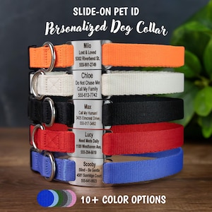 GoTags Dog Collar with Tag, Adjustable Dog Collar with Quick Release Buckle and Personalized Nameplate Tag