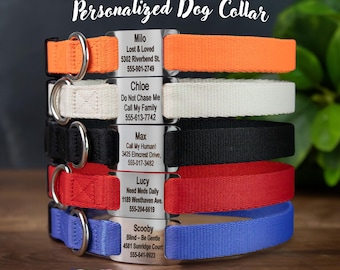 GoTags Dog Collar with Tag, Adjustable Dog Collar with Quick Release Buckle and Personalized Nameplate Tag