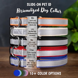 GoTags Reflective Dog Collar with Tag, Slide on Dog Tag with Collar, Dog Collar with Personalized Nameplate Dog Tag & Quick Release Buckle