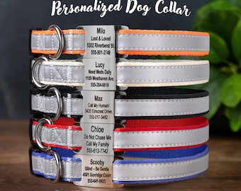 GoTags Reflective Dog Collar with Tag, Slide on Dog Tag with Collar, Dog Collar with Personalized Nameplate Dog Tag & Quick Release Buckle