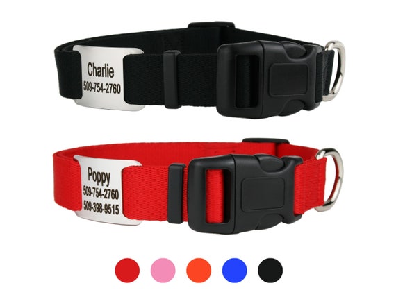 Go tags dog collars online