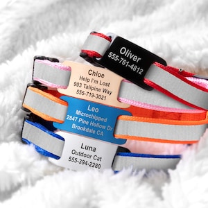 May include: A close-up of several pet collars with reflective strips and name tags. The tags display pet names, contact information, and the phrase "Help I'm Lost." The collars are in various colors, including red, pink, orange, and blue.