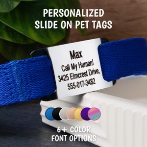 GoTags Slide on Dog Tag, Dog Tag for Dogs Personalized, Silent Dog Tag Engraved, Slide on Collar Pet Tag, Dog Tag Slide On Stainless Steel