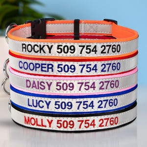 GoTags Reflective Dog Collar Personalized, Embroidered Dog Collar with Quick Release Buckle