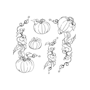 Puede incluir: Dibujo en blanco y negro de calabazas con enredaderas y hojas. Las calabazas son de varios tamaños y formas.