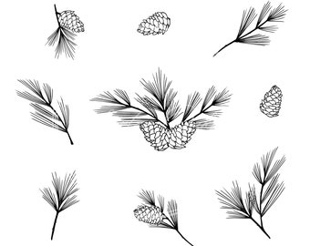 May include: Black and white line drawing of pine branches and pine cones. The pine branches are drawn with fine lines and the pine cones are drawn with more detail. The image is set against a white background.