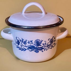 May include: White enamel saucepan with a blue floral design and a silver rim. The saucepan has two handles and a lid.