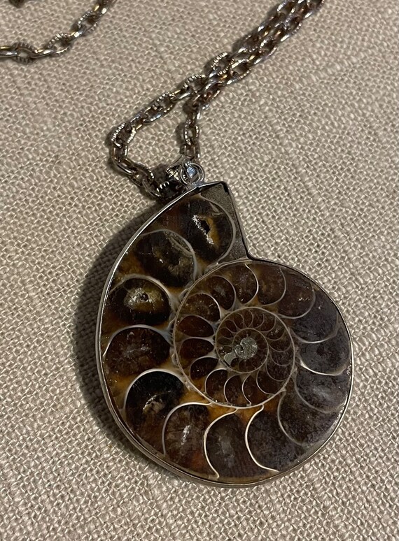 Pendentif fossile Ammonite rond - Planète-Cristal