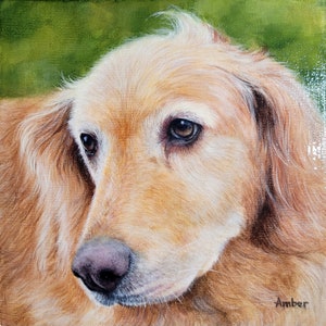 Acrylique - Portraits d'animaux de compagnie originaux peints à la main, chien, chat, cadeau personnalisé