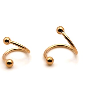 16g Rose Gold Twisted Helix Ohrring Hoop Spirale Twister Barbell Tragus Knorpel Snug Rook Daith Schmuck Ohrstecker klein 90er Jahre niedlich
