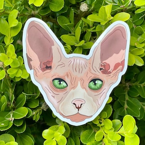 Sphynx Cat Sticker