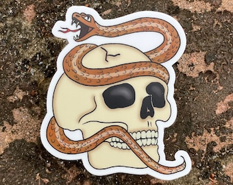 Snake and Skull