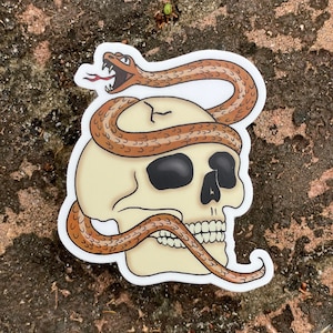 May include: A sticker of a brown snake wrapped around a white skull with a cracked top. The snake's mouth is open and its tongue is sticking out. The skull has black eyes and teeth.