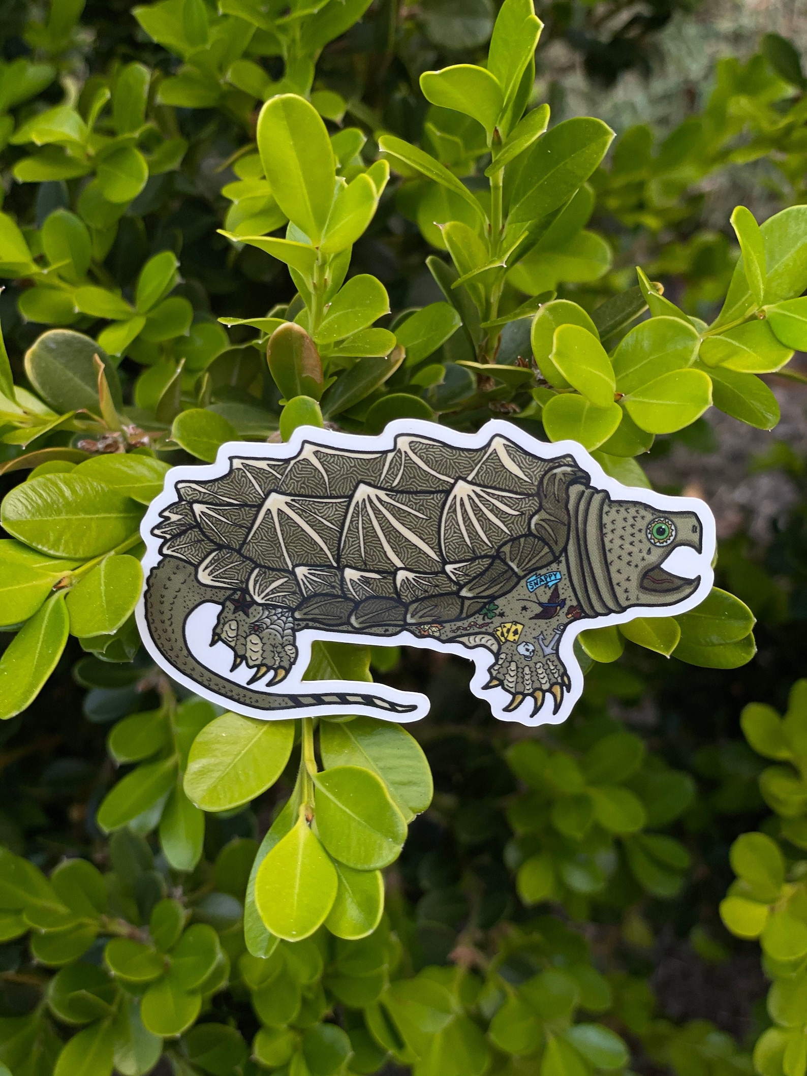 Snapping Tattoo Turtle - Etsy
