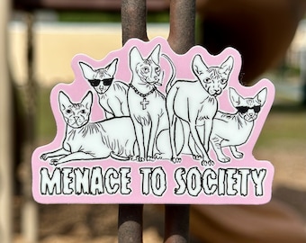 Menace To Society